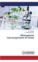 Rhizospheric Microorganisms of Maize