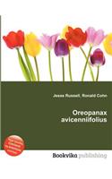 Oreopanax Avicenniifolius: (English)