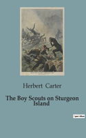 Boy Scouts on Sturgeon Island