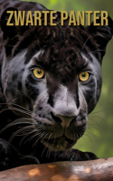 Zwarte Panter
