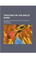 Trouting on the Brule River; Or Lawyers' Summer-Wayfaring in the Northern Wilderness