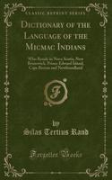 Dictionary of the Language of the Micmac Indians: Who Reside in Nova Scotia, New Brunswick, Prince Edward Island, Cape Breton and Newfoundland (Classic Reprint)