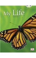 Bug Club Guided Non Fiction Year 1 Yellow C My Life: (BUG CLUB)