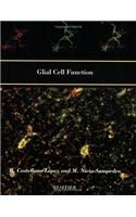 Glial Cell Function (Paperback)