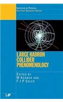 Large Hadron Collider Phenomenology