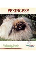 Pekingese
