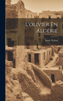 L'olivier En Algérie