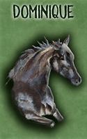 Watercolor Mustang Dominique