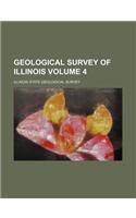 Geological Survey of Illinois Volume 4