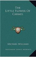 The Little Flower of Carmel