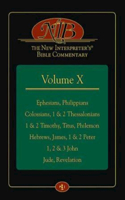 New Interpreter's(r) Bible Commentary Volume X