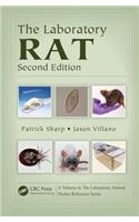 Laboratory Rat