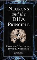 Neurons and the DHA Principle
