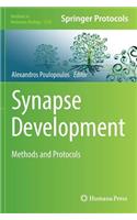 Synapse Development
