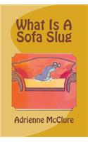 What Is A Sofa Slug