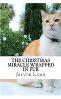 The Christmas Miracle Wrapped in Fur