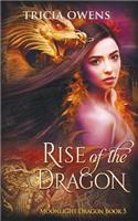 Rise of the Dragon: an Urban Fantasy(5 Moonlight Dragon)