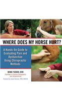 Where Does My Horse Hurt?
