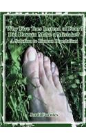 Why Five Toes Instead of Four?: Did Darwin Make a Mistake?