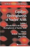 Capillary Electrophoresis of Nucleic Acids