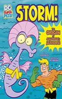 Storm! An Origin Story