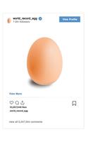 World_record_egg