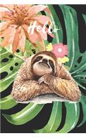 Hello Sloth Notebook