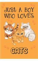 Just A Boy Who Loves Cats