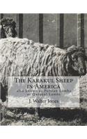 Karakul Sheep in America