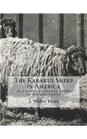 The Karakul Sheep in America
