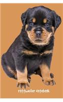 Rottweiler Notebook: 6 X 9 Inch, Blank Lined Journal, 200 Pages