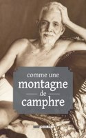 COMME UNE MONTAGNE DE CAMPHRE : ENSEIGNE