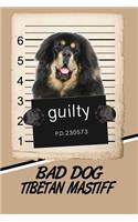 Bad Dog Tibetan Mastiff