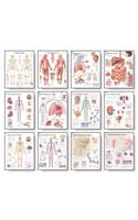 12 Body System Charts Set