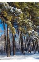 Trees Notebook: 150 Lined Pages, Glossy Softcover, 6 X 9