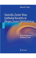 Varicella-Zoster Virus Epithelial Keratitis in Herpes Zoster Ophthalmicus
