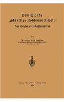 Deutschlands Zukünftige Kohlenwirtschaft