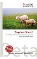Targhee (Sheep)