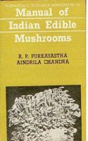 Mollusca (Vol. 3): Land Operculates, Cyclophridae, Truncatellidae, Assimineidae, Helicinidae