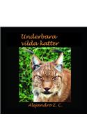 Underbara Vilda Katter