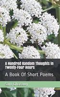 Hundred Random Thoughts in Twenty-Four Hours: A Book Of Short Poems