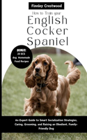 How to Train Your English Cocker Spaniel