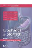Esophagus and Stomach