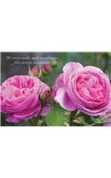 Card Box of 20 Notecards and Envelopes: Pink Rose