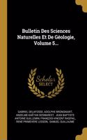 Bulletin Des Sciences Naturelles Et De Géologie, Volume 5...