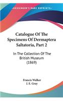Catalogue Of The Specimens Of Dermaptera Saltatoria, Part 2