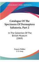 Catalogue Of The Specimens Of Dermaptera Saltatoria, Part 2