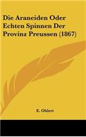 Die Araneiden Oder Echten Spinnen Der Provinz Preussen (1867)
