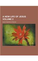 A New Life of Jesus Volume 2
