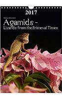 Agamids - Lizards from the Primeval Times 2017
